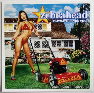 Zebrahead / Playmate Of The Year Sony promo flat 2000 - Click Image to Close